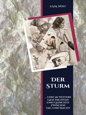 cover image of Der Sturm